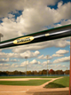 Close-up of the Baum Bat Standard Gold Stock Maple Baseball Bat