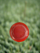 Close-up of the end cap on the Victus Vibe Crayon USSSA -10 Baseball Bat
