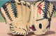 Rawlings Pro Preferred Mike Trout Model PROSMT27C 12.75" Baseball Glove