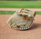 Marucci Acadia M TYPE 235C2 33.5" Fastpitch Catchers Mitt