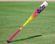 2026 Easton The Dub USSSA -10 Baseball Bat