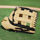 Mizuno Franchise 12.5" GFN1250B5 Baseball Glove