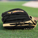 Mizuno Franchise 12.5" GFN1250B5 Baseball Glove