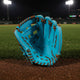 Mizuno Pro Select 11.75" GPS-51D Baseball Glove
