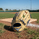 Mizuno Prospect Select 11.5" GPSL1152 Baseball Glove
