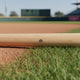 Close-up of the ink dot certification on the Victus Pro V Cut Gloss Maple Wood Baseball Bat - Natural/Gloss Black