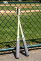Chandler MT27 Maple Wood Bats - Clear/Palladium