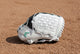 Easton Fundamental 12.5" FMFP125B Fastpitch Glove