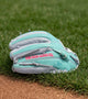 Rawlings Heart of the Hide  PROR934-2CBPE IconFest Exclusive 11.5" Baseball Glove