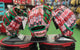 Trio of Wilson A2000 1975 Christmas Sweater 11.75" Baseball Gloves - GOTM December 2025, on display
