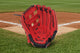 Rawlings Sure Catch™ 10.5" Corbin Carroll Signature Youth Baseball Glove