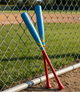 Victus Pro Reserve Julio Rodriguez JROD JR Maple Wood Youth Baseball Bats - Flat Red/Flat Columbia