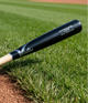 Close-up of the barrel on the Victus Pro V Cut Gloss Maple Wood Baseball Bat - Natural/Gloss Black