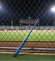 2027 DeMarini Vizion -10 Fastpitch Bat