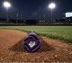 Knob on the 2027 DeMarini Vizion -9 Fastpitch Bat