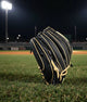 Wilson A2000® Classics Series DW5 12" Baseball Glove