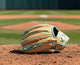 Wilson Spring 2026 A2000® DH12 12" Baseball Glove